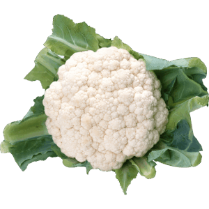 Coliflor