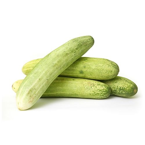 Pepino